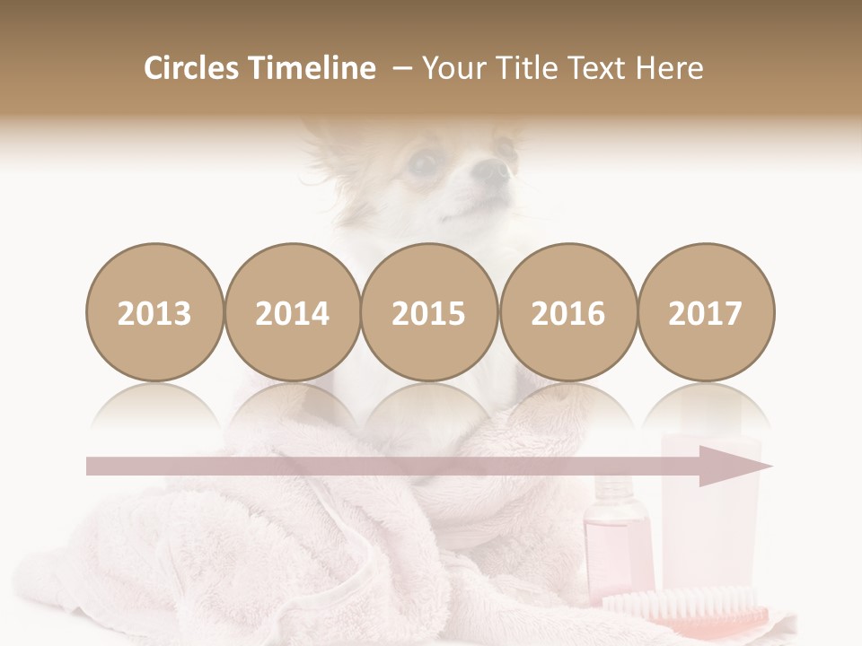 A Small Dog Is Wrapped In A Pink Towel PowerPoint Template
