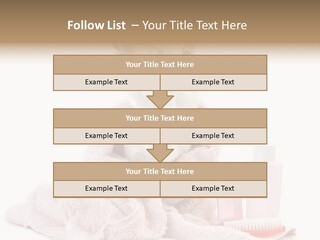 A Small Dog Is Wrapped In A Pink Towel PowerPoint Template