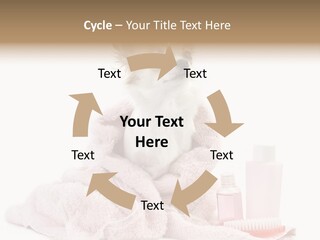 A Small Dog Is Wrapped In A Pink Towel PowerPoint Template