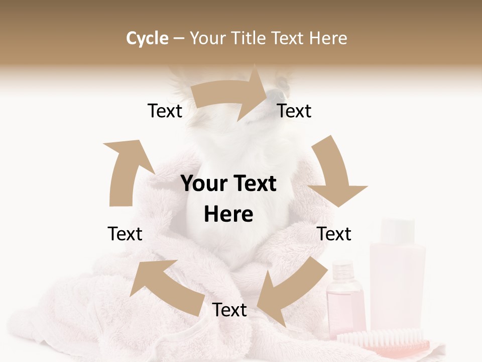 A Small Dog Is Wrapped In A Pink Towel PowerPoint Template