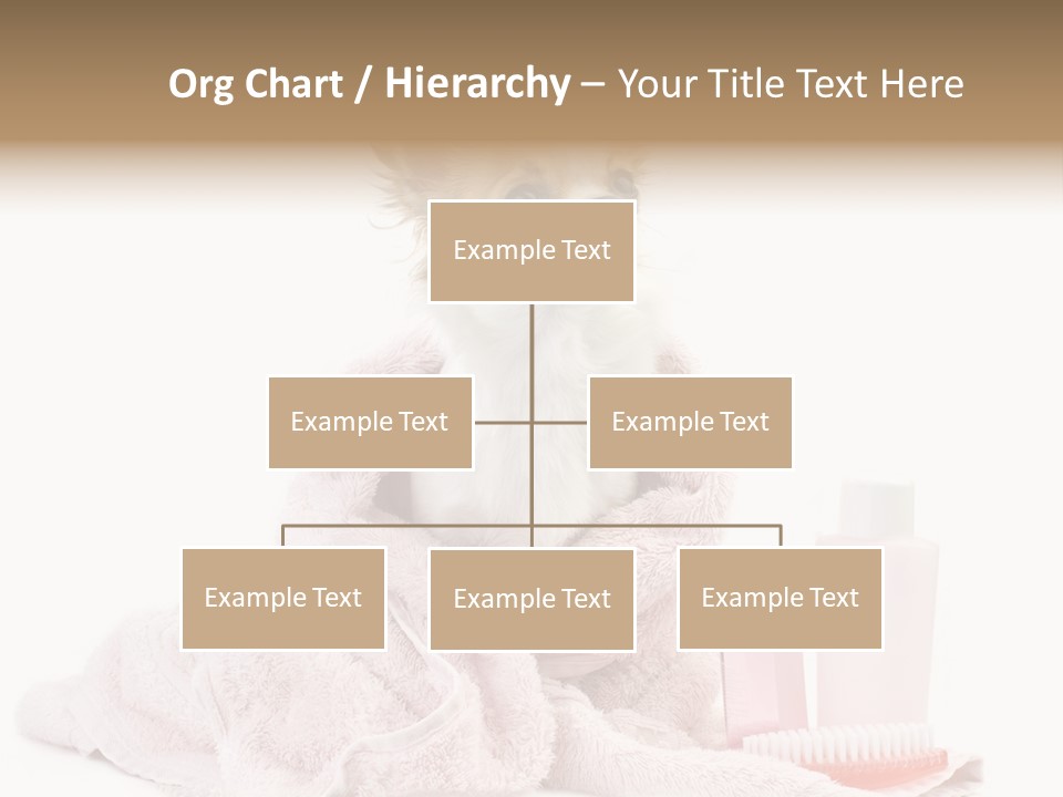 A Small Dog Is Wrapped In A Pink Towel PowerPoint Template