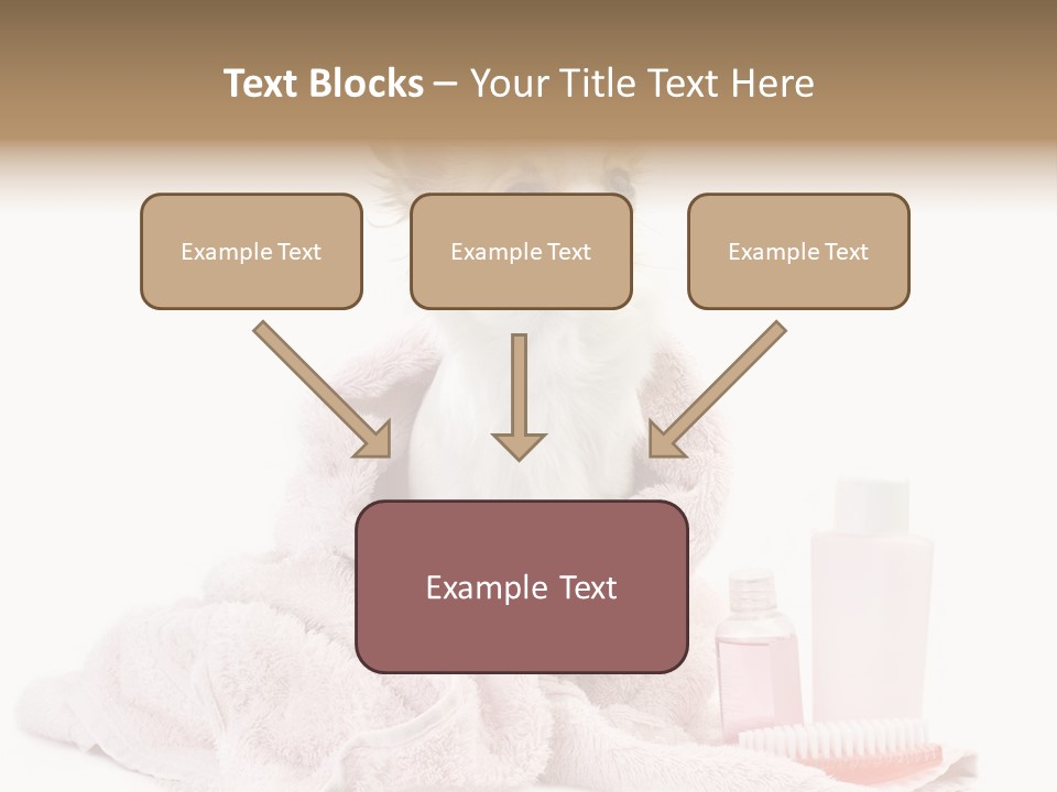 A Small Dog Is Wrapped In A Pink Towel PowerPoint Template