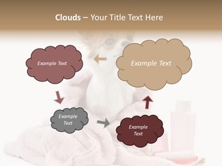 A Small Dog Is Wrapped In A Pink Towel PowerPoint Template