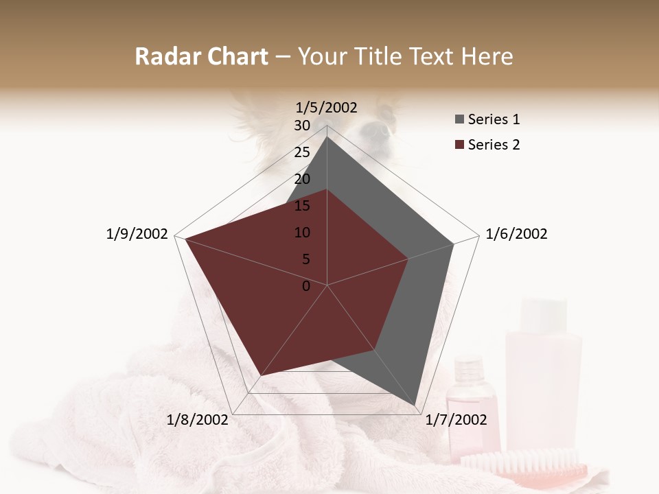 A Small Dog Is Wrapped In A Pink Towel PowerPoint Template