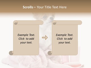A Small Dog Is Wrapped In A Pink Towel PowerPoint Template