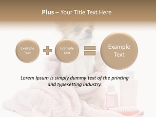 A Small Dog Is Wrapped In A Pink Towel PowerPoint Template