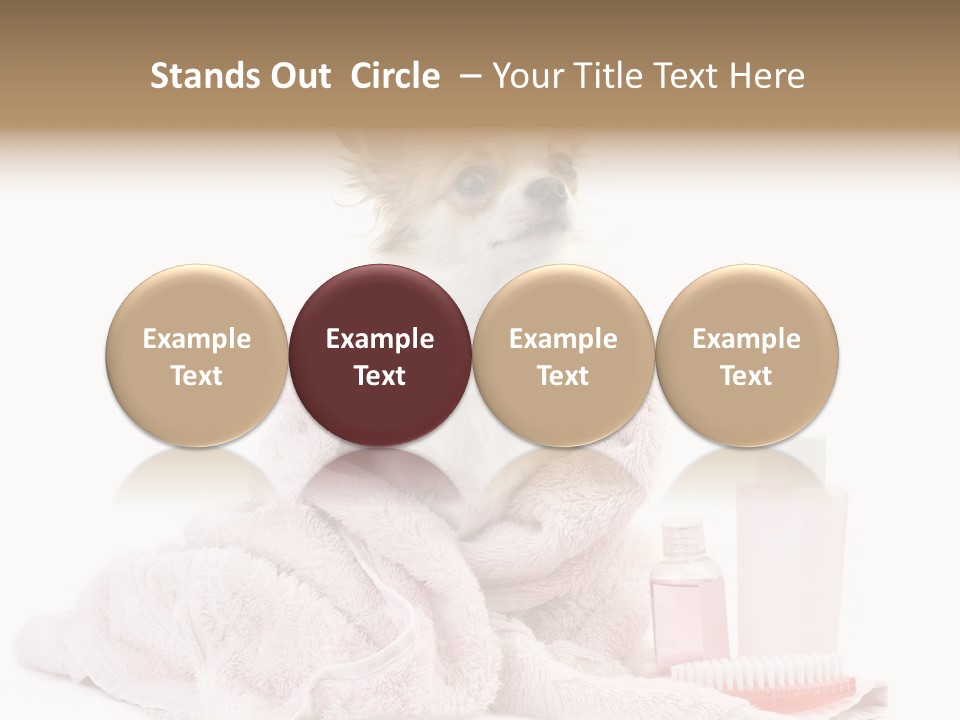 A Small Dog Is Wrapped In A Pink Towel PowerPoint Template
