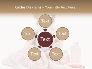 A Small Dog Is Wrapped In A Pink Towel PowerPoint Template