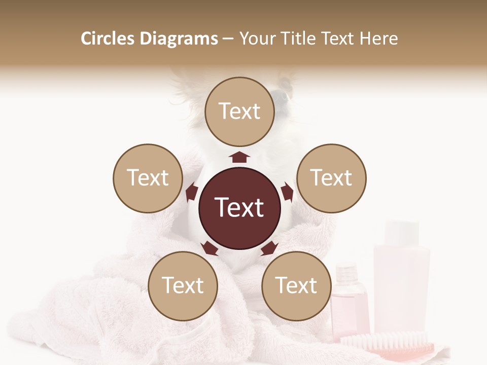 A Small Dog Is Wrapped In A Pink Towel PowerPoint Template