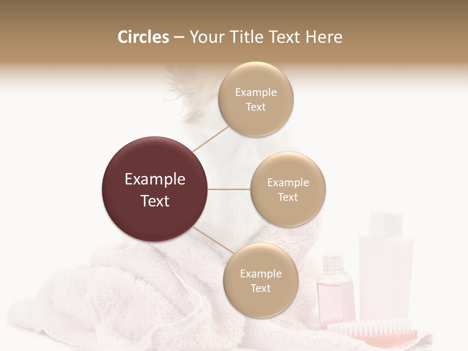 A Small Dog Is Wrapped In A Pink Towel PowerPoint Template