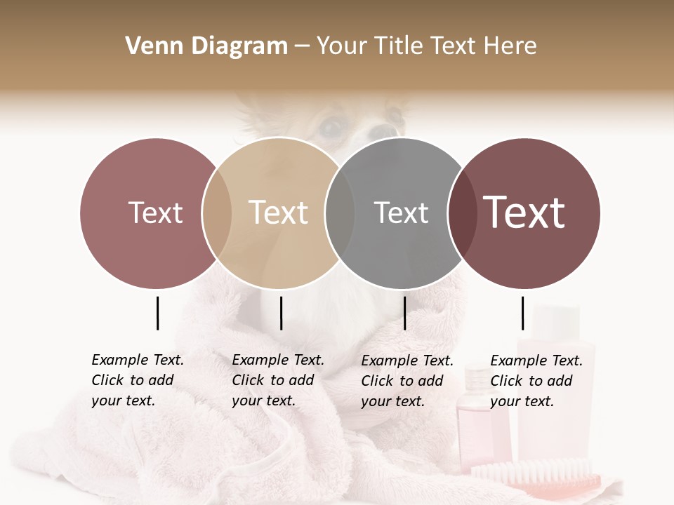 A Small Dog Is Wrapped In A Pink Towel PowerPoint Template