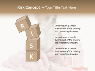 A Small Dog Is Wrapped In A Pink Towel PowerPoint Template