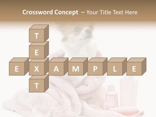 A Small Dog Is Wrapped In A Pink Towel PowerPoint Template