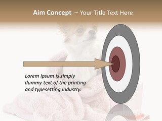 A Small Dog Is Wrapped In A Pink Towel PowerPoint Template
