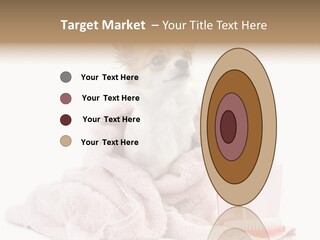 A Small Dog Is Wrapped In A Pink Towel PowerPoint Template