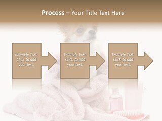 A Small Dog Is Wrapped In A Pink Towel PowerPoint Template