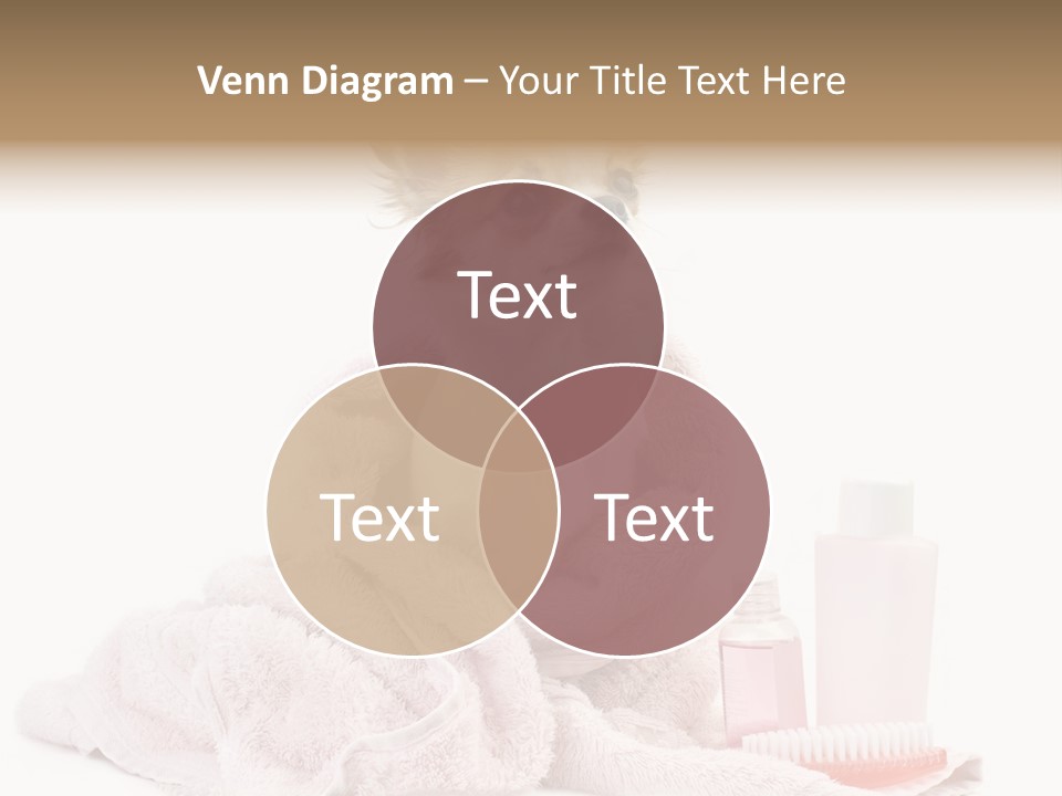 A Small Dog Is Wrapped In A Pink Towel PowerPoint Template