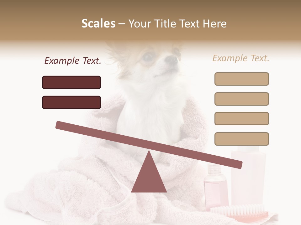 A Small Dog Is Wrapped In A Pink Towel PowerPoint Template