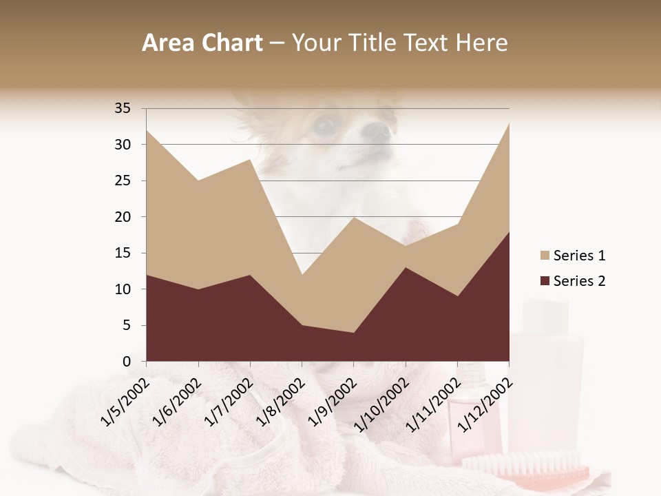 A Small Dog Is Wrapped In A Pink Towel PowerPoint Template