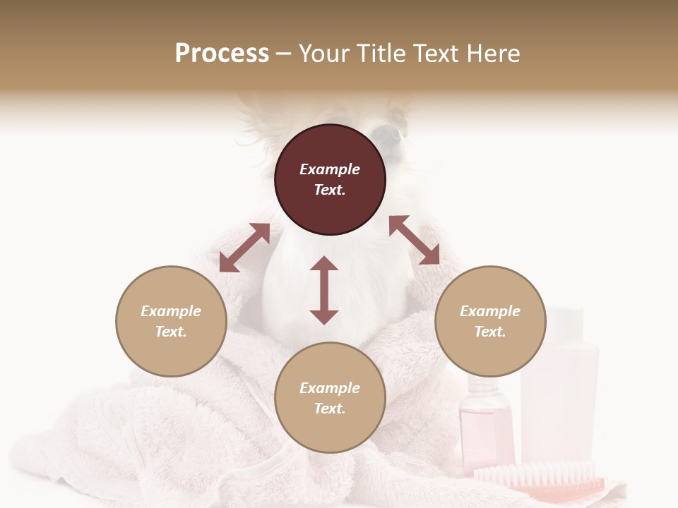 A Small Dog Is Wrapped In A Pink Towel PowerPoint Template