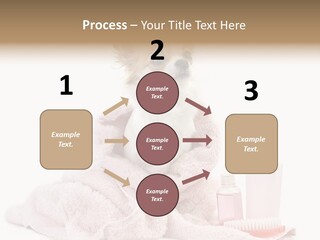 A Small Dog Is Wrapped In A Pink Towel PowerPoint Template