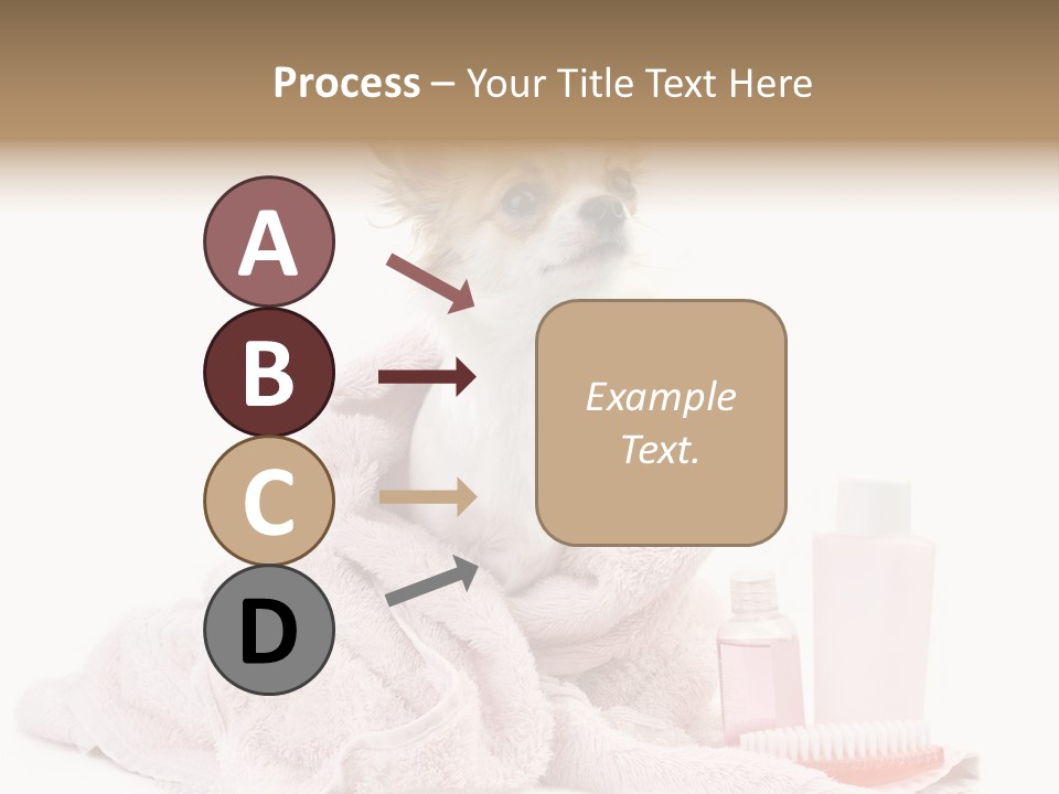 A Small Dog Is Wrapped In A Pink Towel PowerPoint Template