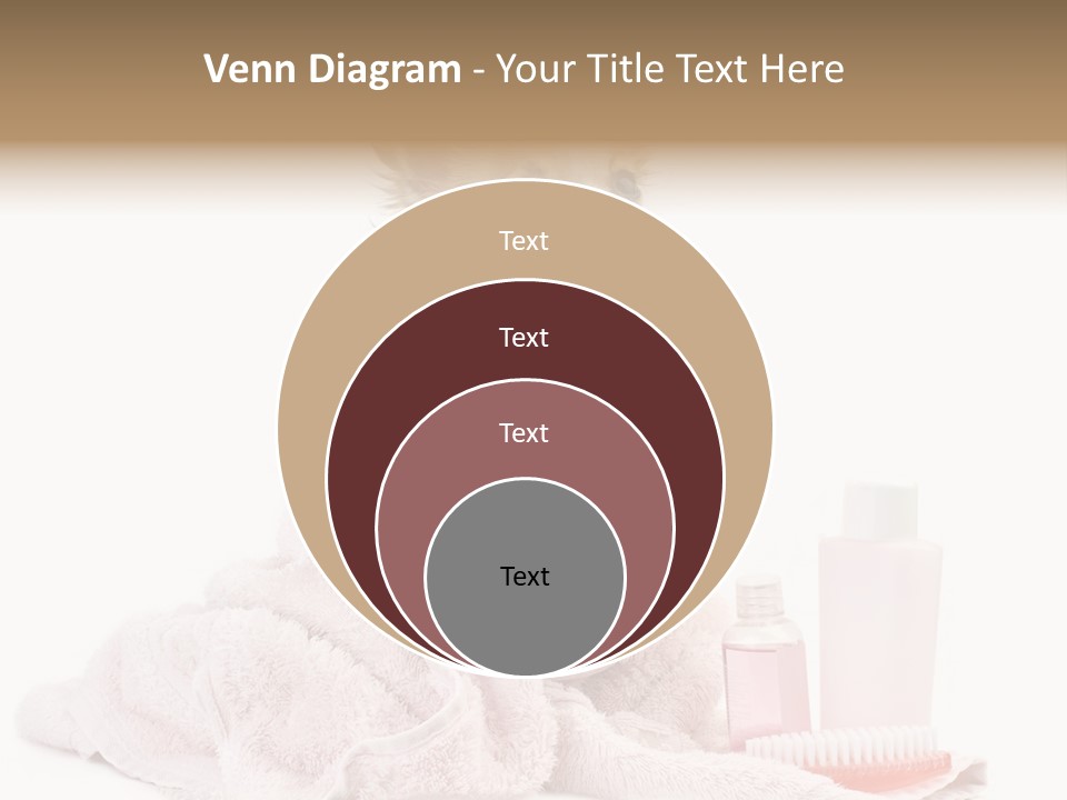 A Small Dog Is Wrapped In A Pink Towel PowerPoint Template