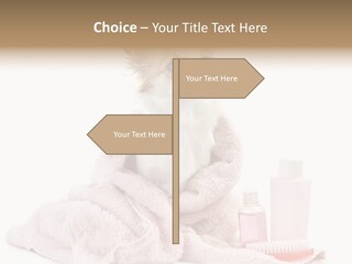 A Small Dog Is Wrapped In A Pink Towel PowerPoint Template