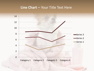 A Small Dog Is Wrapped In A Pink Towel PowerPoint Template