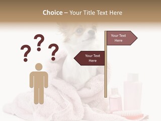 A Small Dog Is Wrapped In A Pink Towel PowerPoint Template