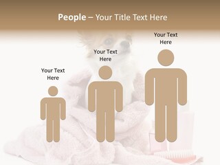 A Small Dog Is Wrapped In A Pink Towel PowerPoint Template