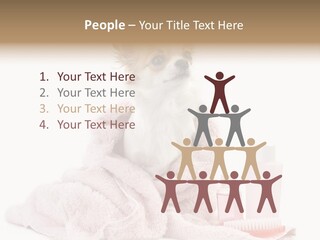 A Small Dog Is Wrapped In A Pink Towel PowerPoint Template