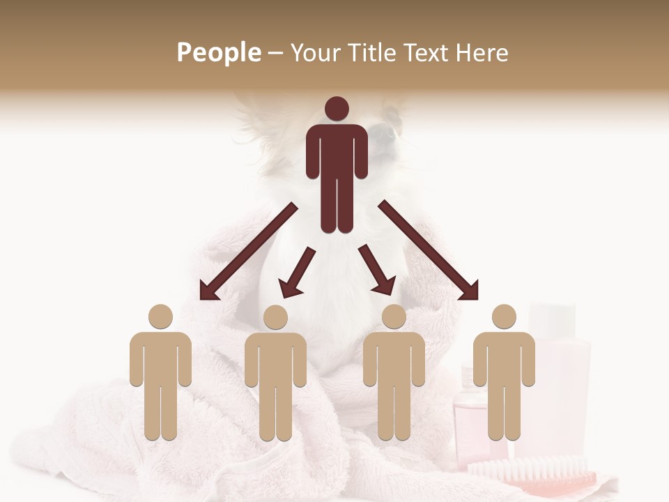 A Small Dog Is Wrapped In A Pink Towel PowerPoint Template