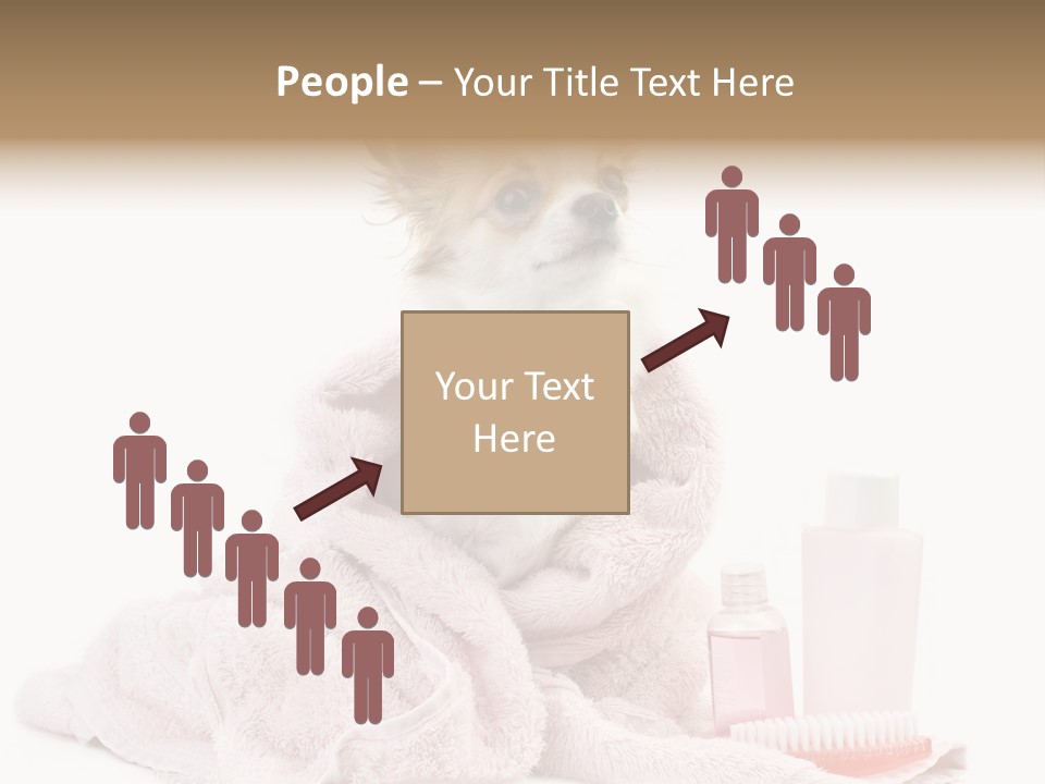 A Small Dog Is Wrapped In A Pink Towel PowerPoint Template