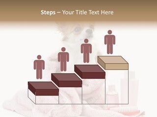 A Small Dog Is Wrapped In A Pink Towel PowerPoint Template