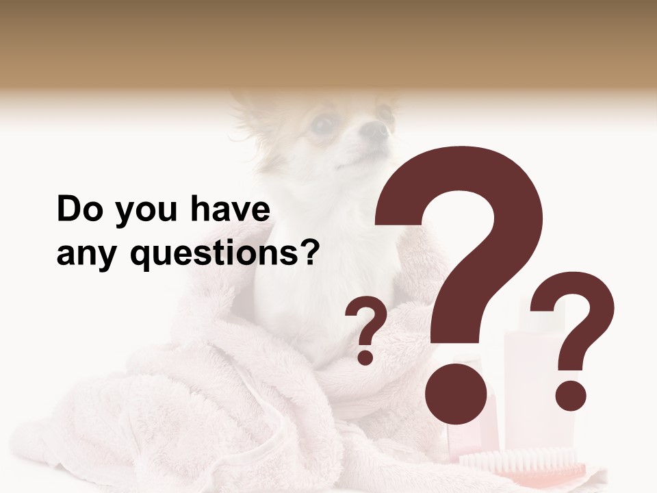 A Small Dog Is Wrapped In A Pink Towel PowerPoint Template