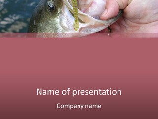 A Person Holding A Fish In Their Hand PowerPoint Template