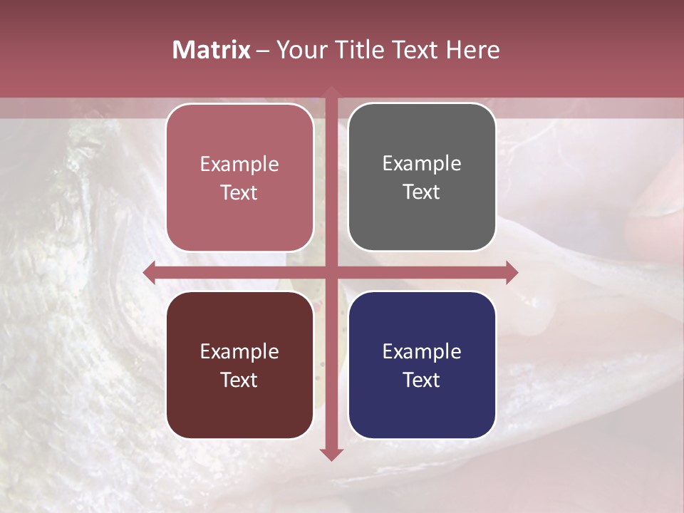 A Person Holding A Fish In Their Hand PowerPoint Template