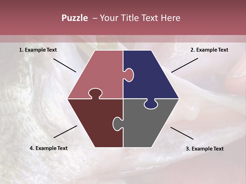 A Person Holding A Fish In Their Hand PowerPoint Template