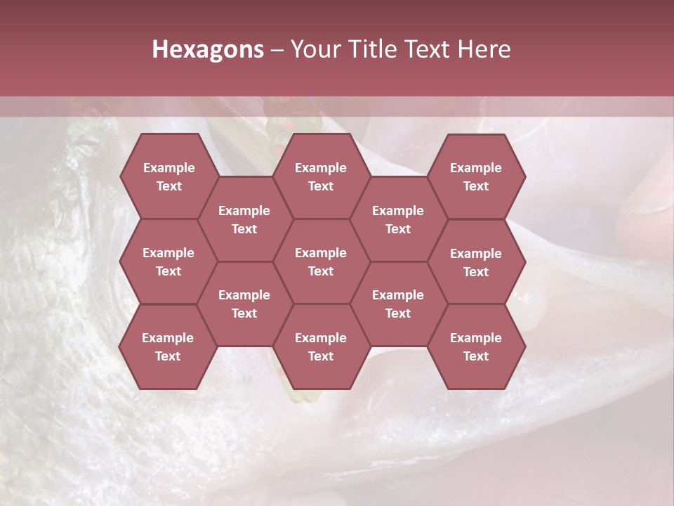 A Person Holding A Fish In Their Hand PowerPoint Template