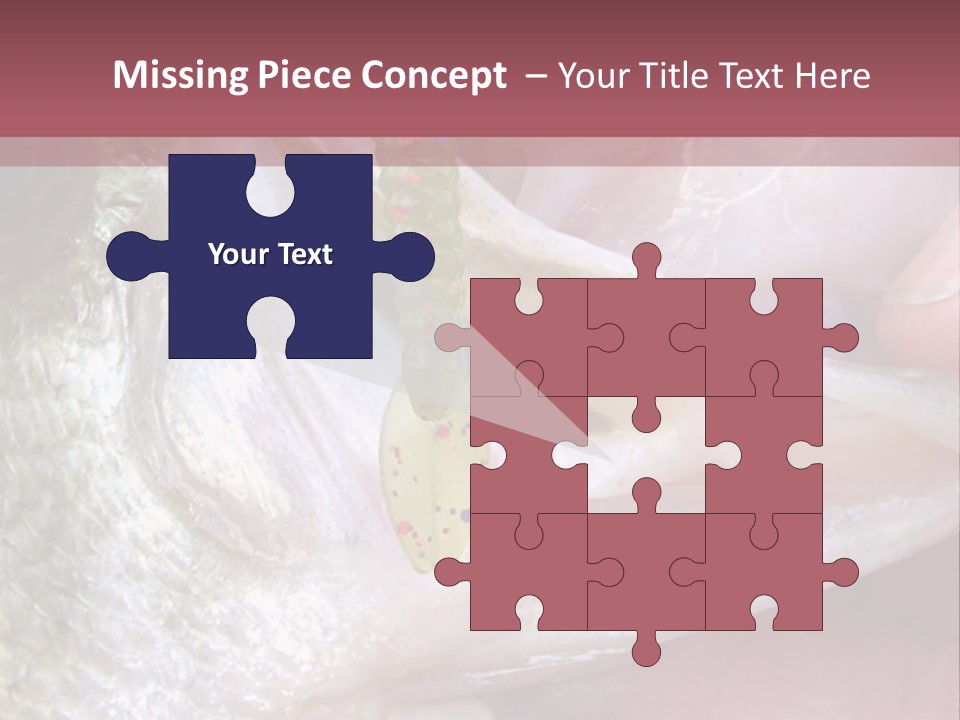 A Person Holding A Fish In Their Hand PowerPoint Template