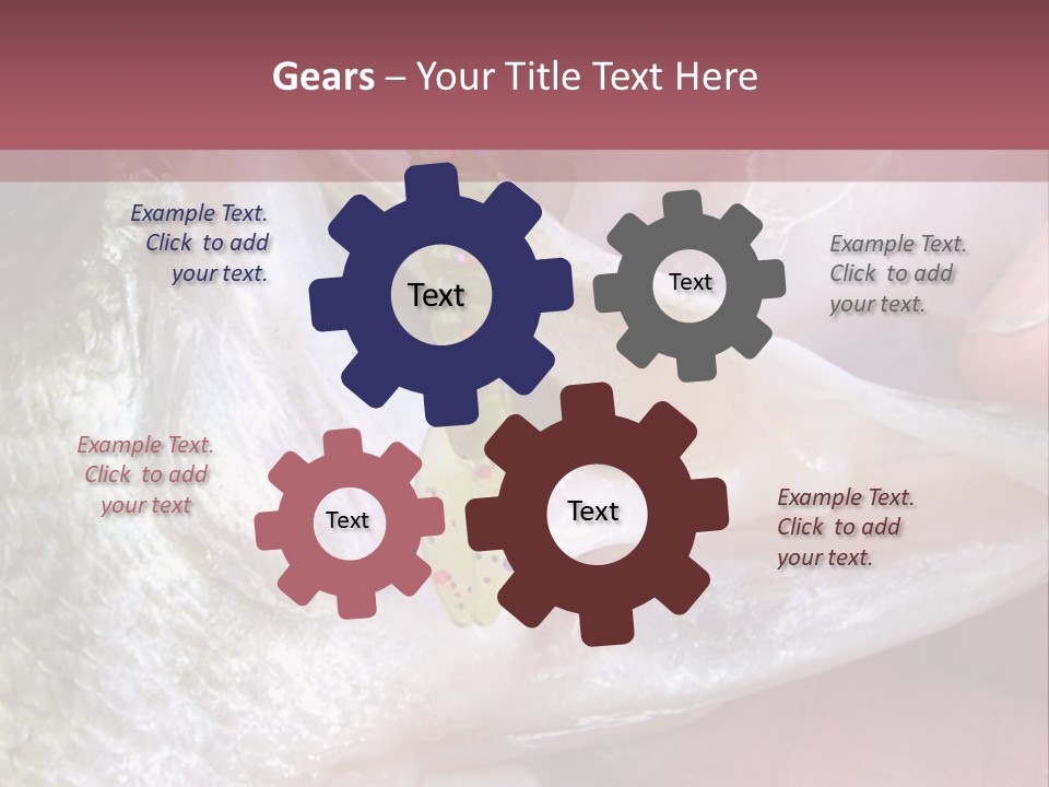 A Person Holding A Fish In Their Hand PowerPoint Template