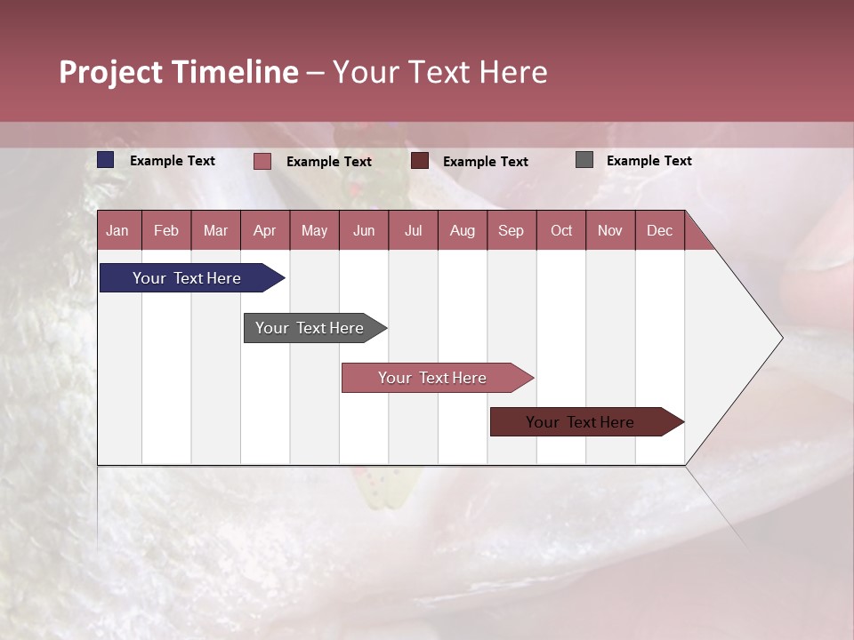 A Person Holding A Fish In Their Hand PowerPoint Template