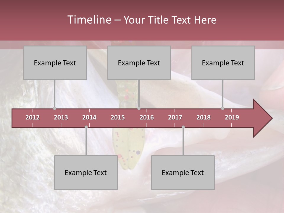 A Person Holding A Fish In Their Hand PowerPoint Template