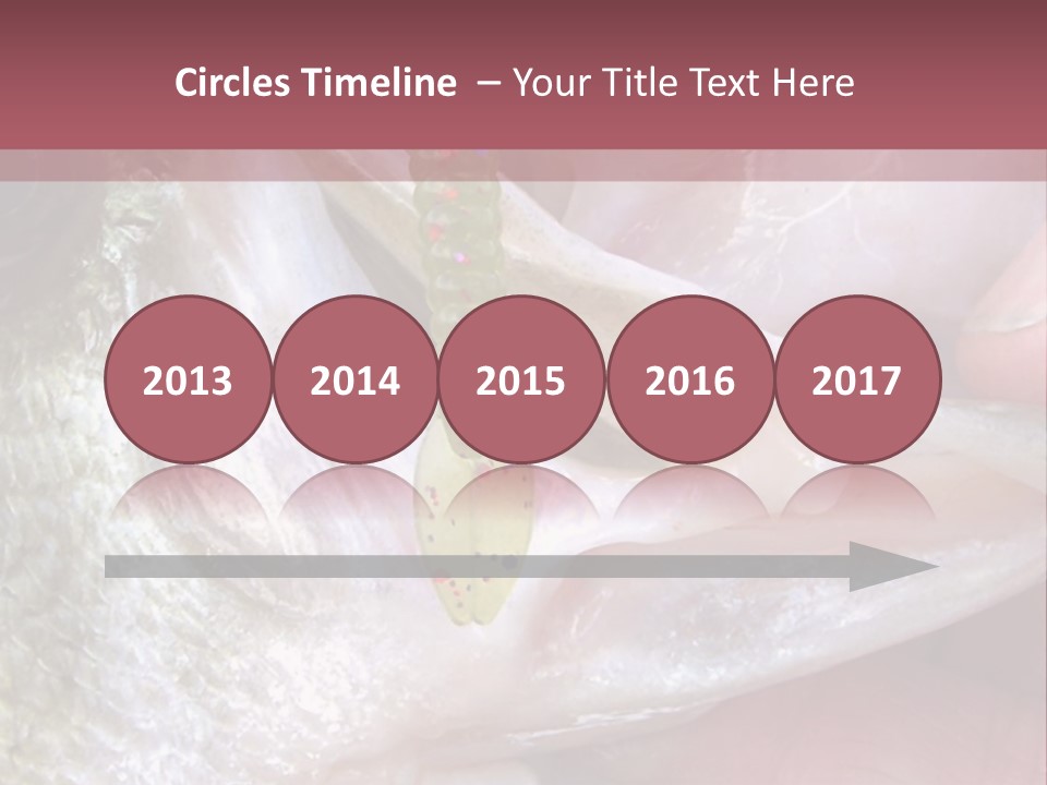 A Person Holding A Fish In Their Hand PowerPoint Template