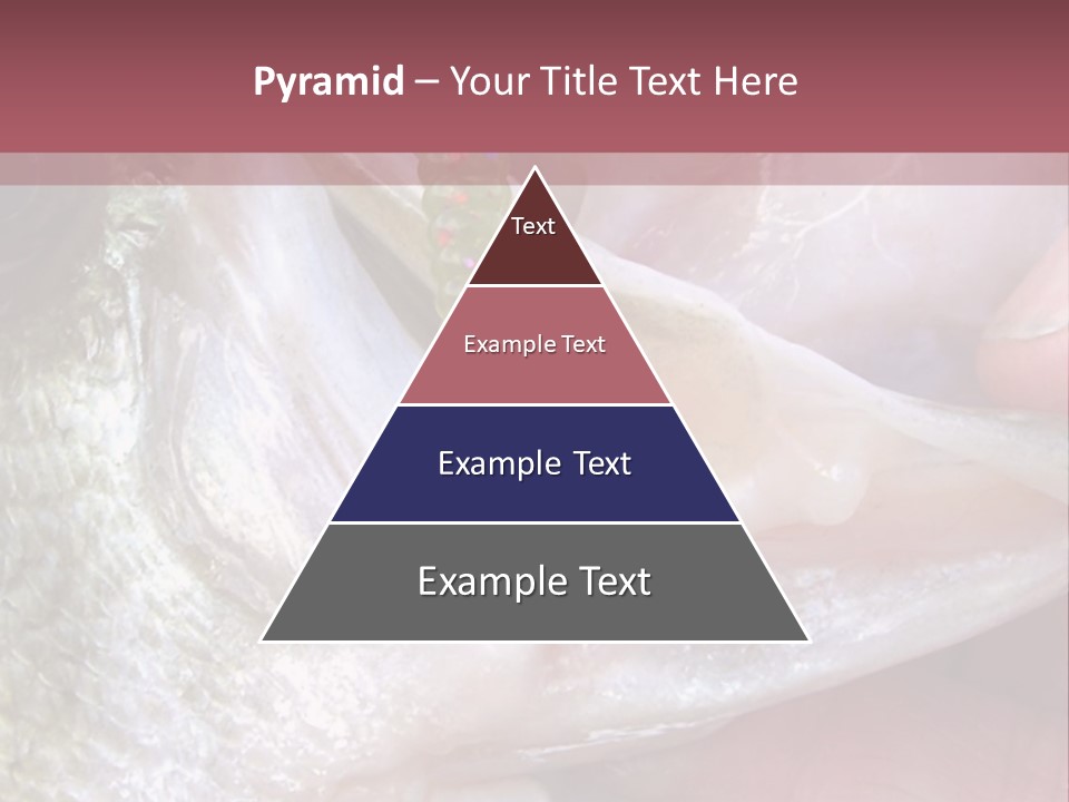 A Person Holding A Fish In Their Hand PowerPoint Template