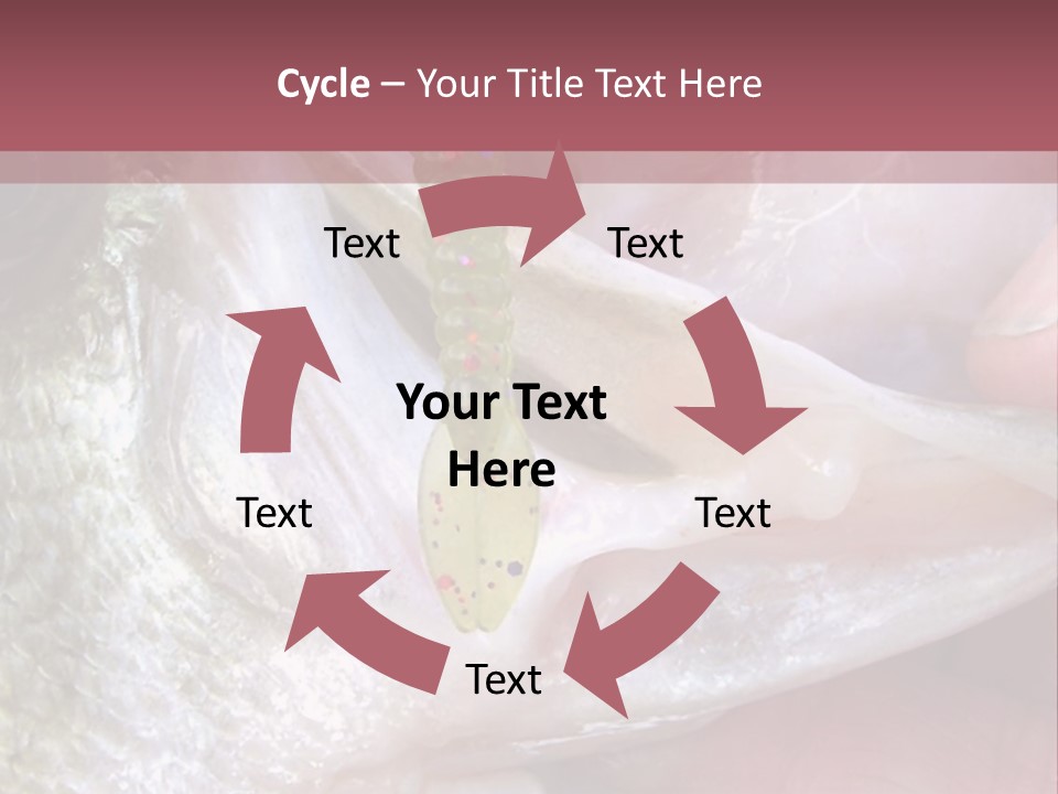 A Person Holding A Fish In Their Hand PowerPoint Template