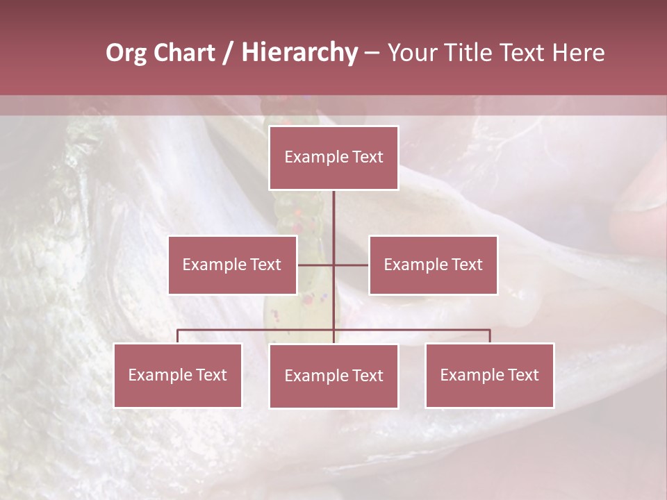 A Person Holding A Fish In Their Hand PowerPoint Template