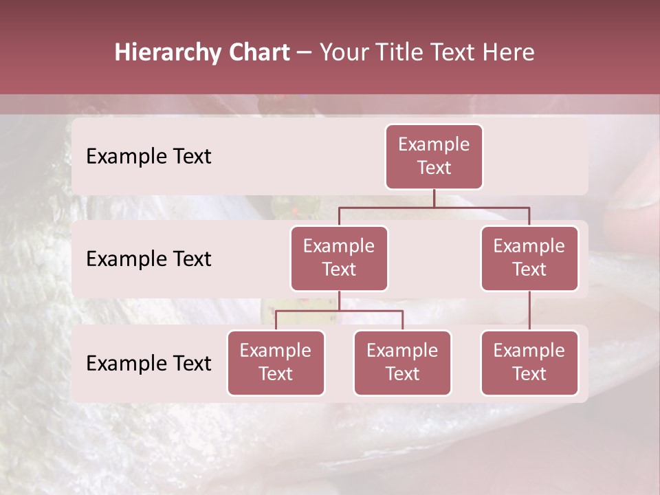 A Person Holding A Fish In Their Hand PowerPoint Template