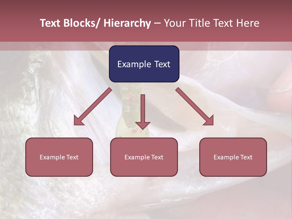 A Person Holding A Fish In Their Hand PowerPoint Template